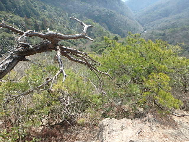 f0334143_18293262.jpg