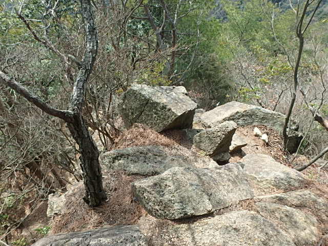 f0334143_1829479.jpg