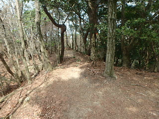 f0334143_18302764.jpg