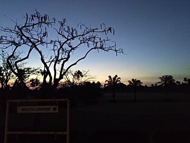 e0365652_2013688.jpg