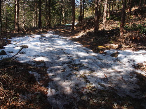 b0335256_13282950.jpg