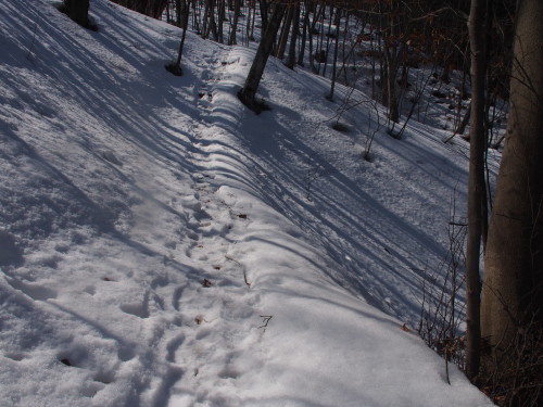 b0335256_18155998.jpg