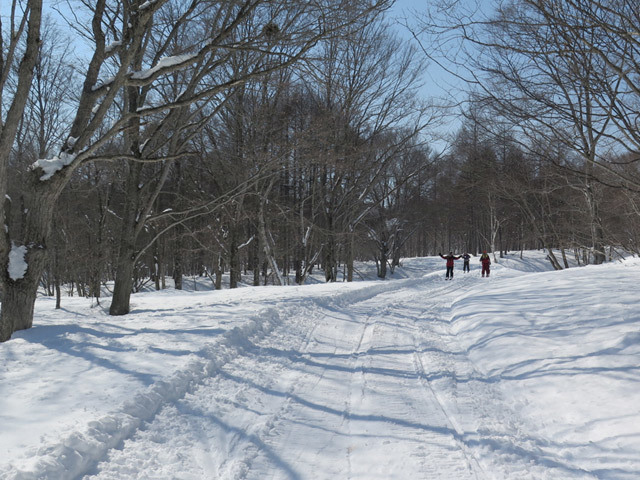 c0116856_20483840.jpg