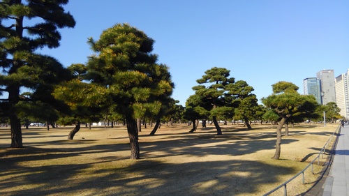 d0029363_22282565.jpg