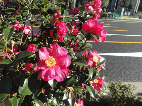 d0029363_22551769.jpg