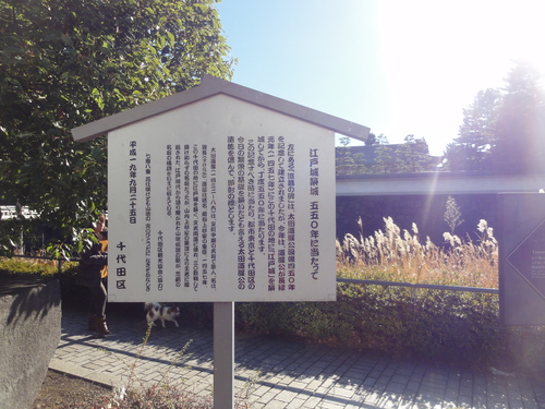 d0029363_23134179.jpg
