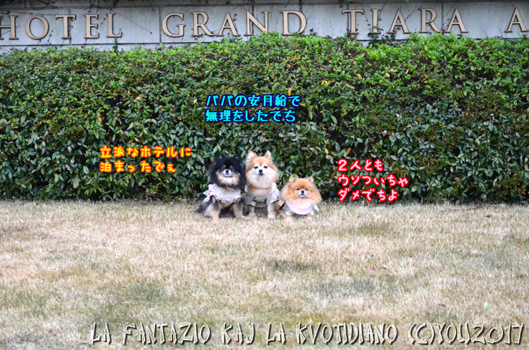 a0004070_22552867.jpg