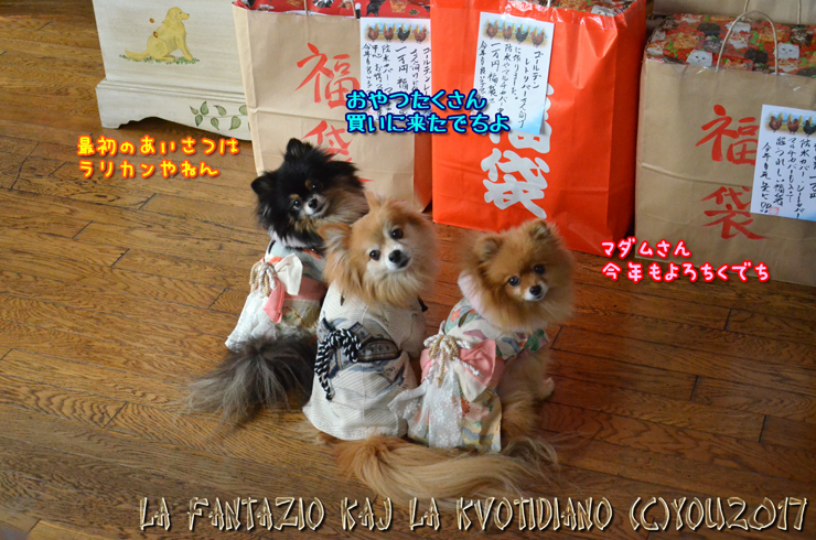 a0004070_23033721.jpg