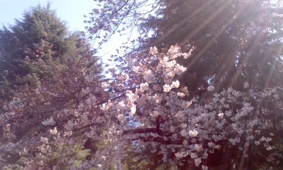 c0069380_14353289.jpg