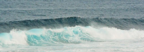c0204385_12482199.jpg