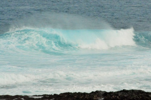 c0204385_12484801.jpg