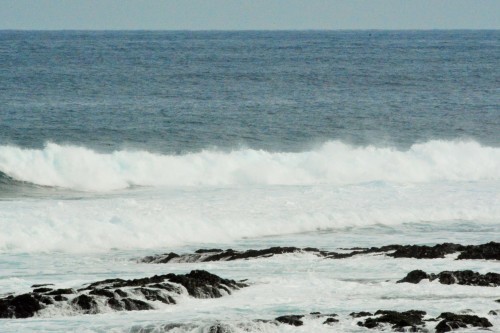 c0204385_12491450.jpg