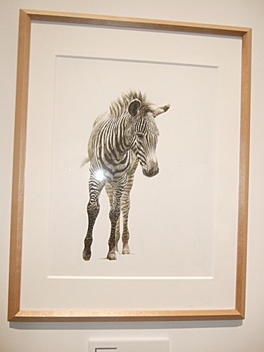 e0086885_11330205.jpg