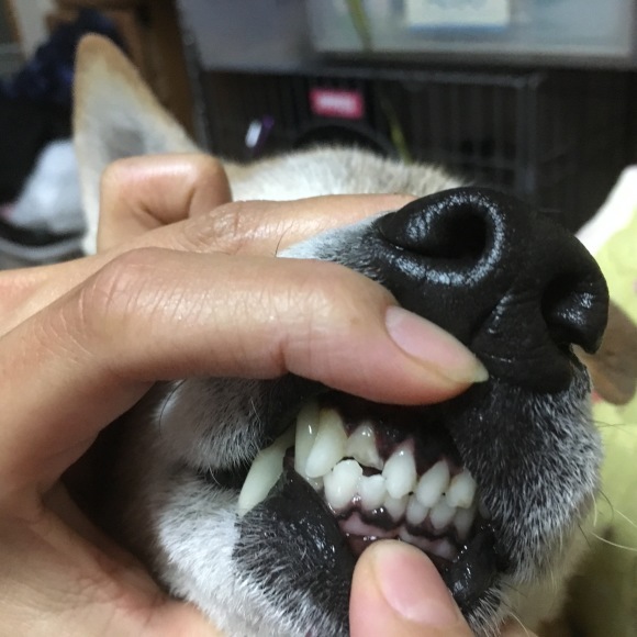 c0123890_20163280.jpeg