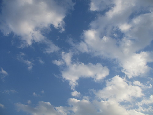 d0333091_1938164.jpg