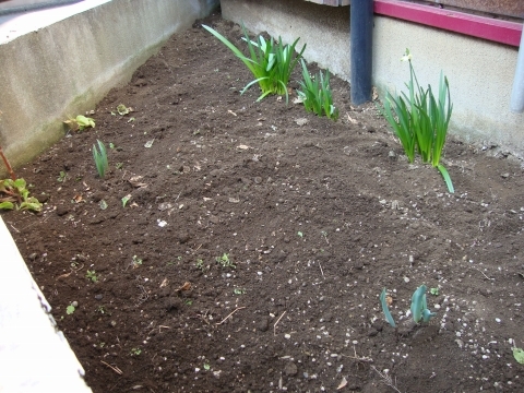 c0322794_17173157.jpg