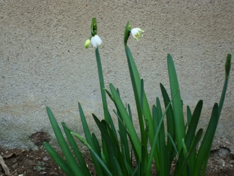 c0322794_17174039.jpg