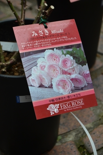 a0240403_12381310.jpg