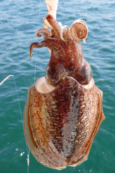 e0123808_21401155.jpg