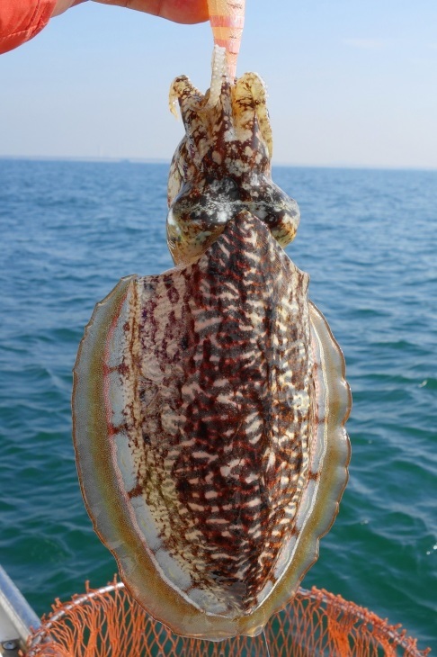 e0123808_21404325.jpg