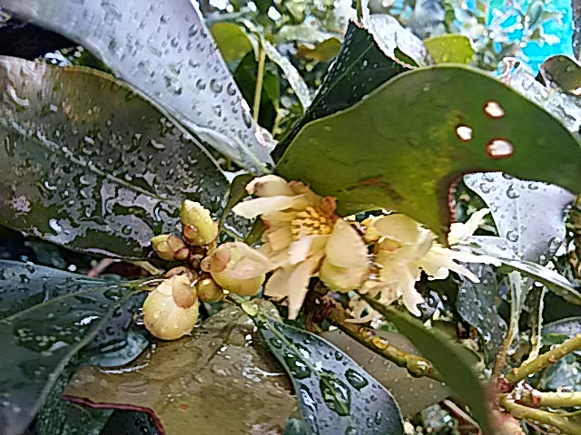 f0231709_18535862.jpg