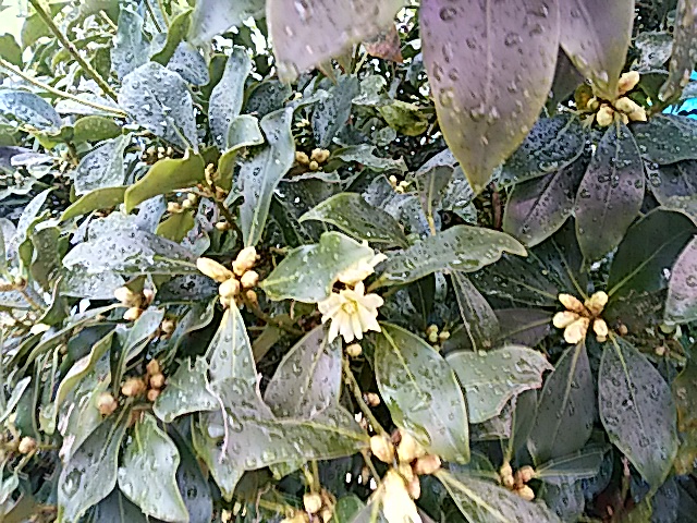 f0231709_18543299.jpg