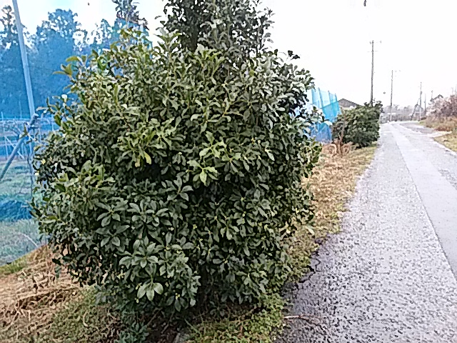 f0231709_18571921.jpg