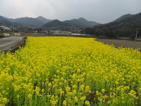 f0231709_2125873.jpg