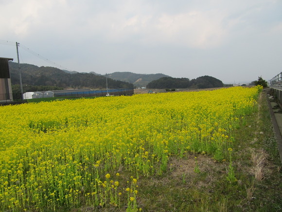 f0231709_21271291.jpg