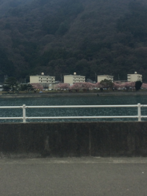 c0291710_20220371.jpg