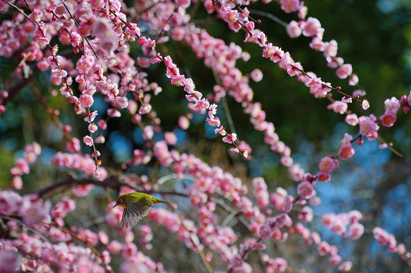 f0032011_20523194.jpg