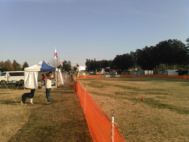 e0204314_18381190.jpg