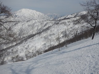c0359615_21593311.jpg