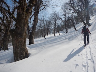 c0359615_22001865.jpg
