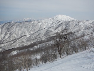 c0359615_22010776.jpg