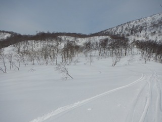 c0359615_22023701.jpg