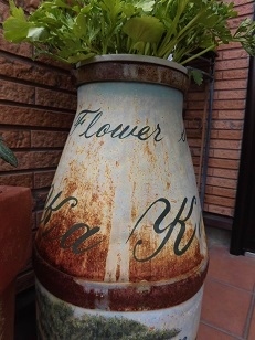 c0204121_20530921.jpg