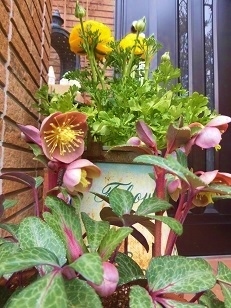 c0204121_20564617.jpg