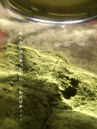 d0042827_16245678.jpg