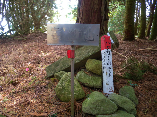 e0272335_821886.jpg