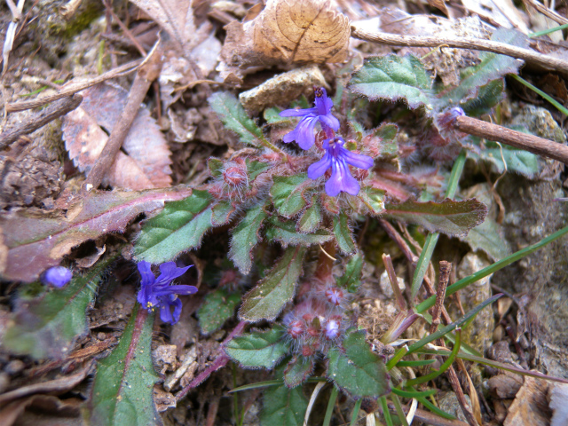 e0272335_8254164.jpg