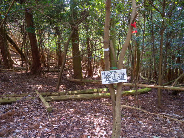 e0272335_971913.jpg