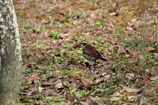 a0242438_20224416.jpg