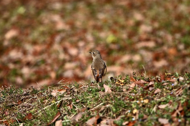 a0242438_20224460.jpg