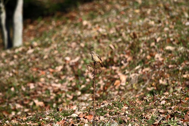 a0242438_20224493.jpg