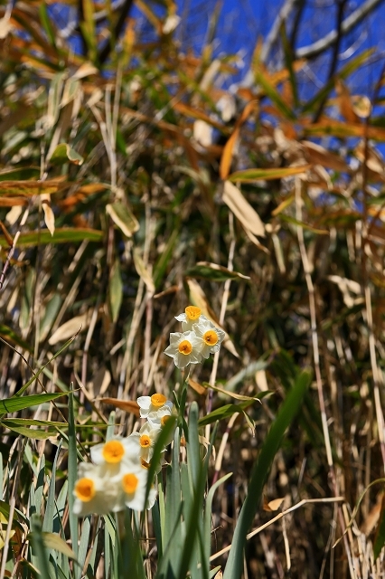 a0242438_20235330.jpg