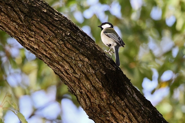a0242438_20241389.jpg
