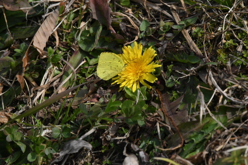 d0285540_20445002.jpg