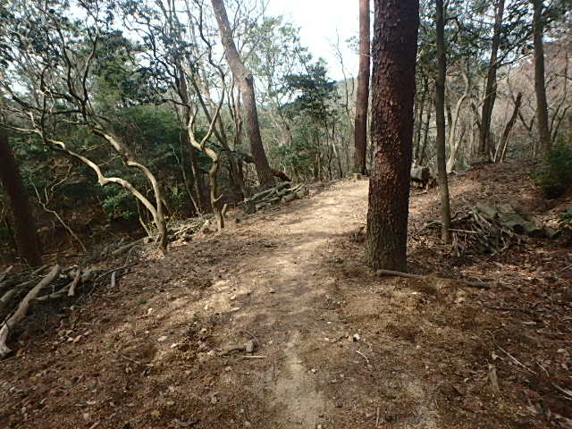 f0334143_9323389.jpg