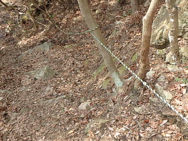 f0334143_9325195.jpg